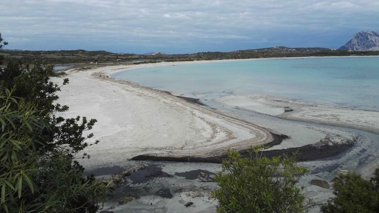Appartamenti Sardegna Porto San Paolo  Zewnętrze zdjęcie