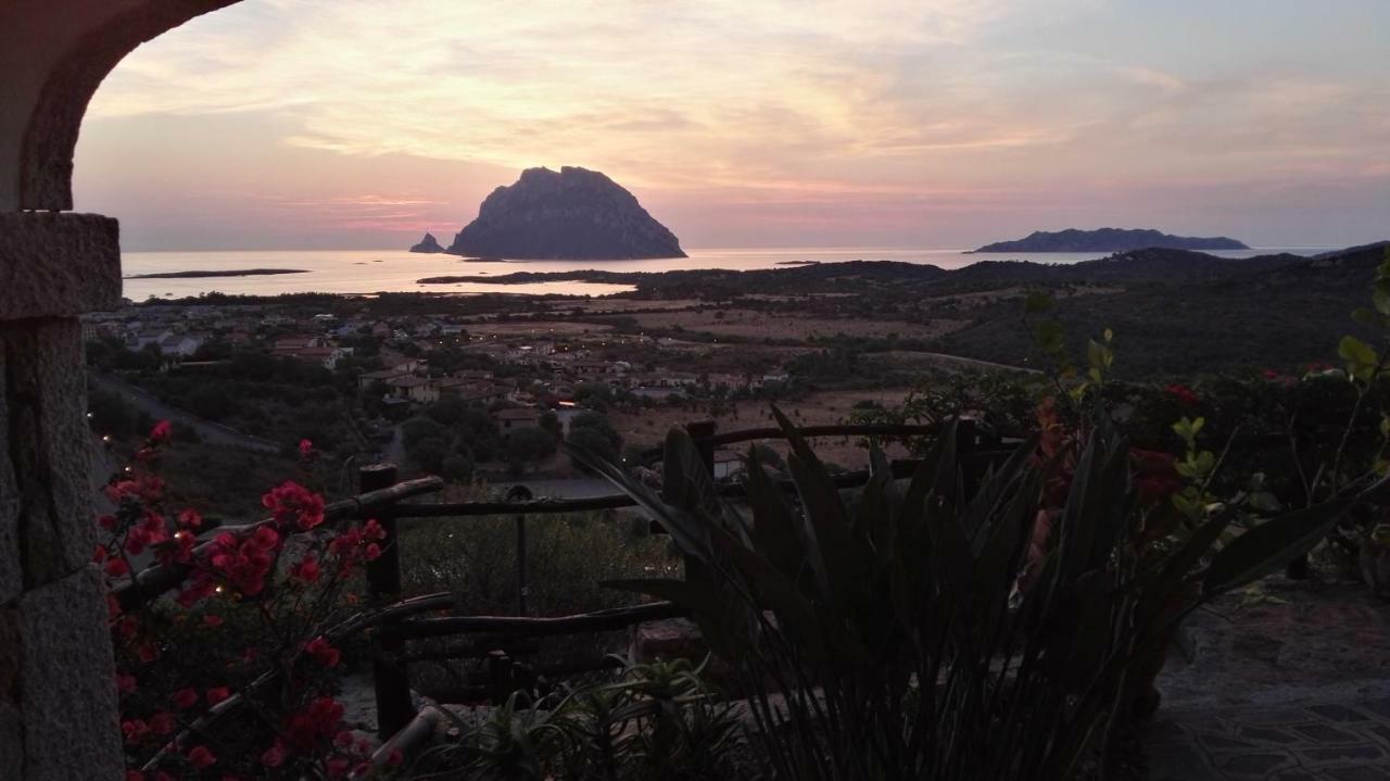 Appartamenti Sardegna Porto San Paolo  Zewnętrze zdjęcie